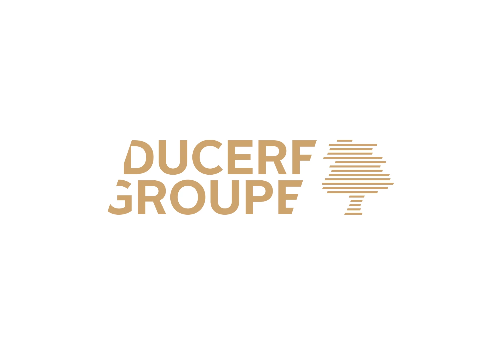 Logo fond blanc Ducerf