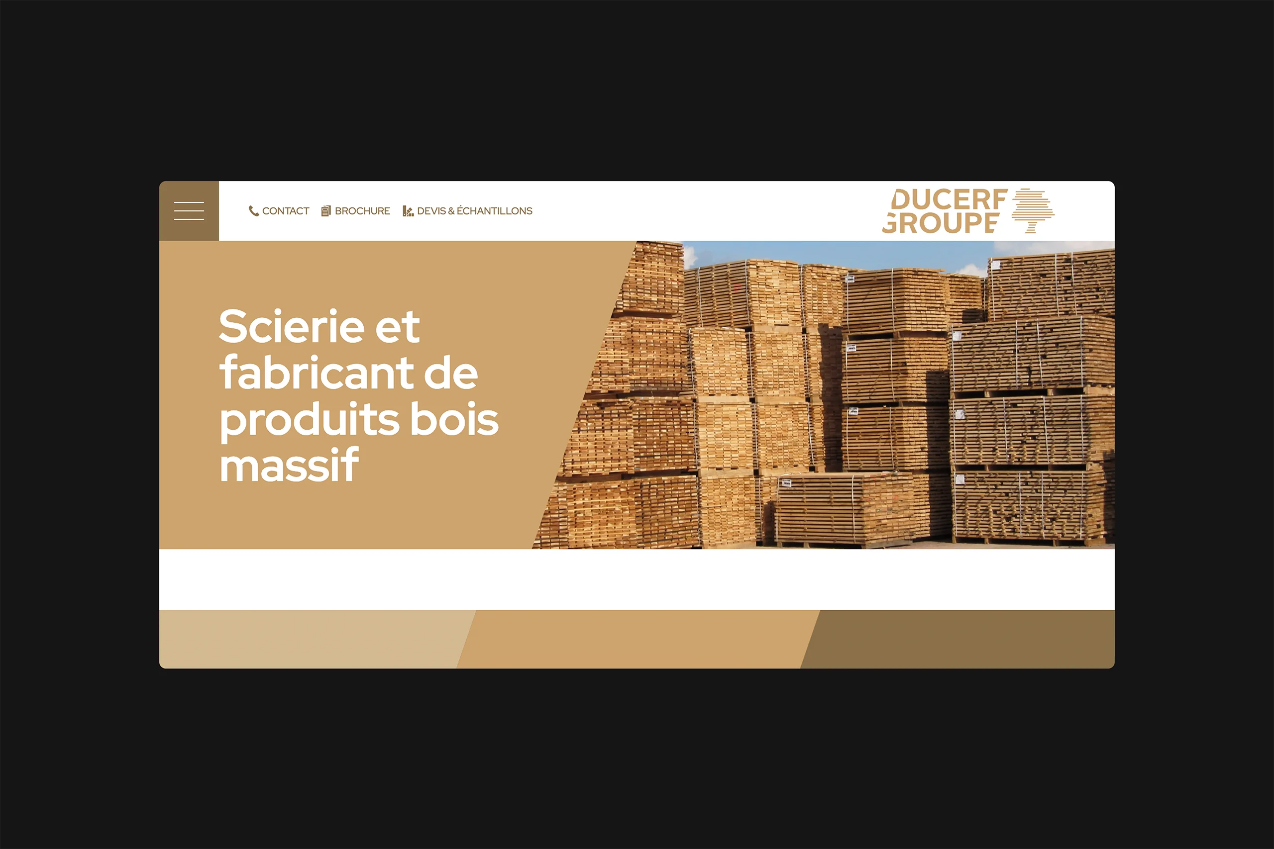 Site web Ducerf Groupe page d'accueil