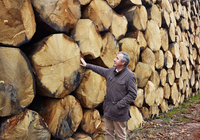 Ducerf Scierie experte en 1ère et 2ème transformation des bois feuillus