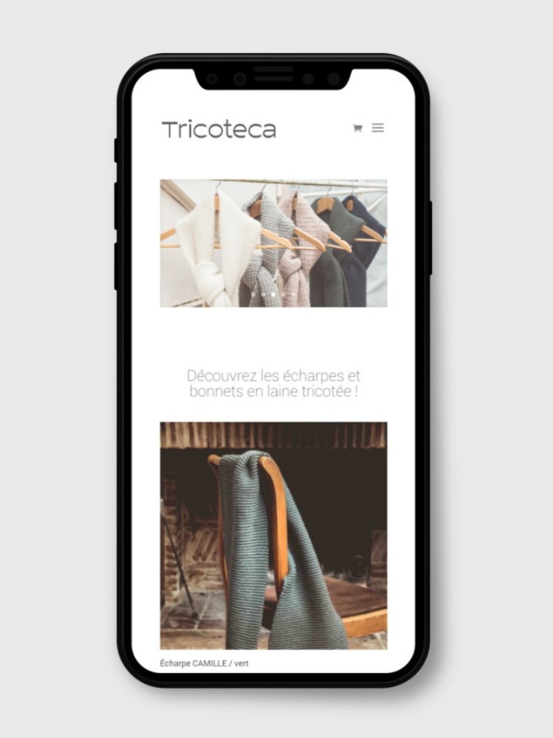 réalisation site web ecommerce Tricoteca