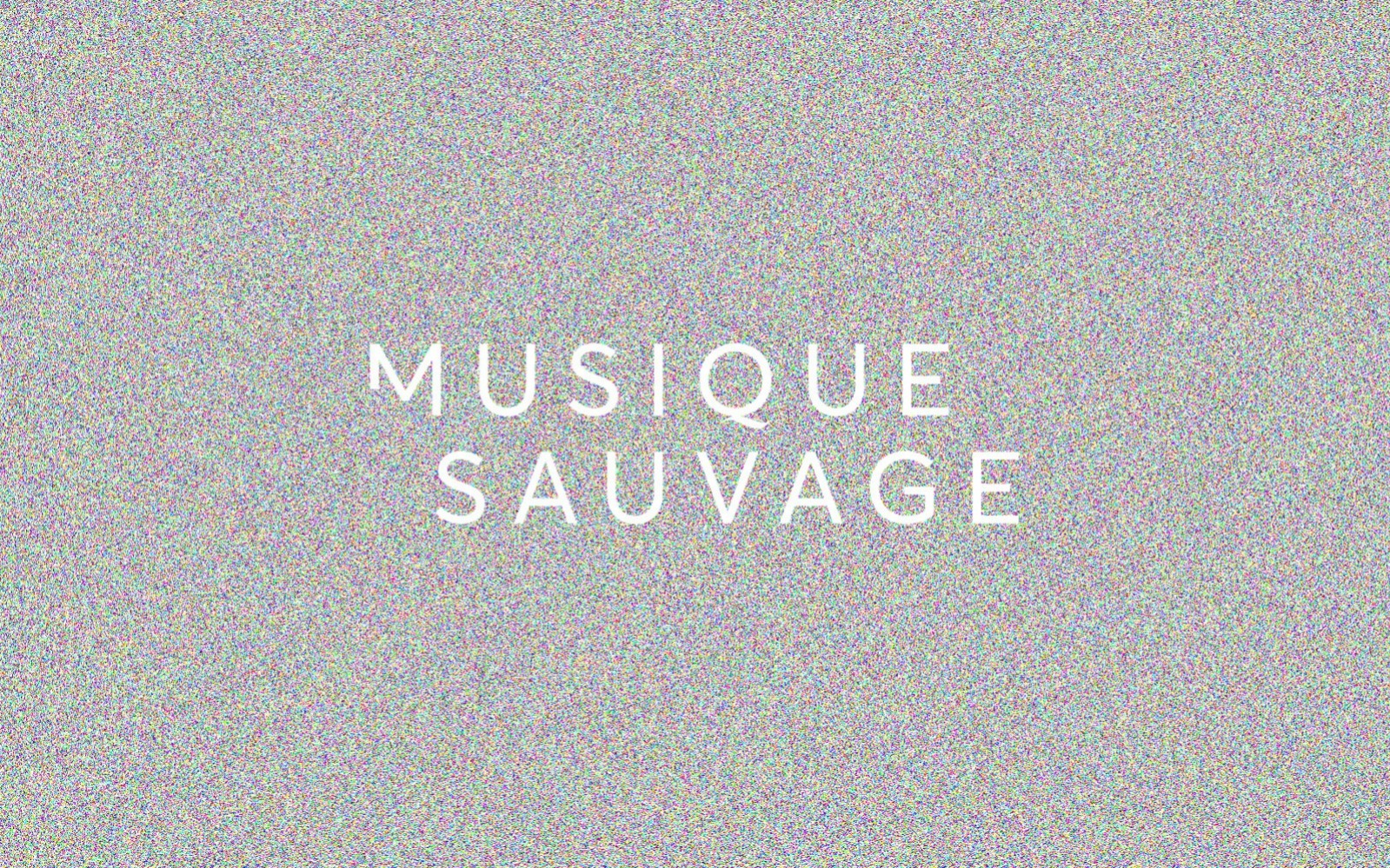 label musique sauvage identité