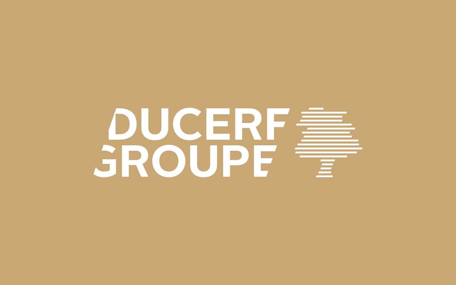 logo Ducerf Groupe